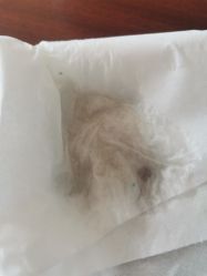 -仰悦产孕月子中心(莱山店)