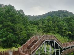 -海南热带雨林国家公园吊罗山景区