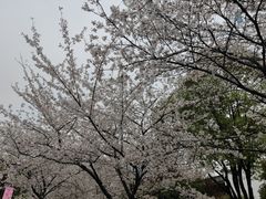 -堤角公园