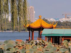 -济南大明湖景区
