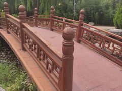 -莲花池公园
