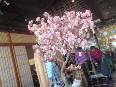 -九井澤精致料理(金茂店)