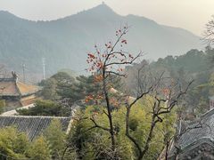 -潭柘寺景区