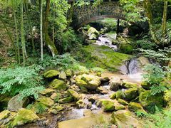-藏龙百瀑风景区