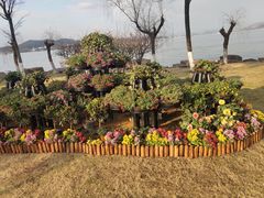 -东钱湖旅游度假区