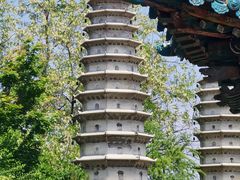 -沈阳植物园