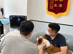 -萌兽医馆·眼科·异宠专科(三里屯店)