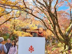 -常寂光寺
