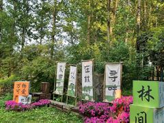 -林间山庄