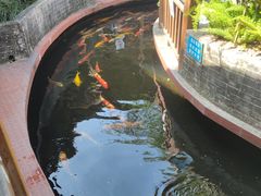 -侠成水上农庄(工业大道店)