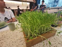 -椰子营·椰子鸡火锅(万象里店)