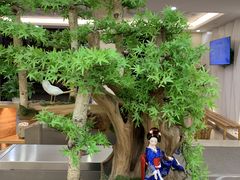-汤里来温泉