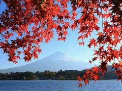 -巴黎贝甜(大宁国际商业广场店)