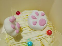 -蒲公英(五里店)