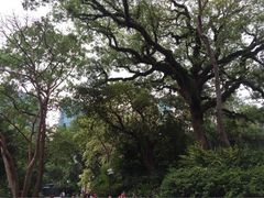 iphone_upload_pic-九龙公园
