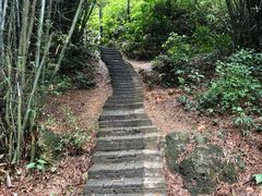 -大雁山风景区