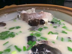 -姜君·千岛湖鱼头馆(浦东大道店)
