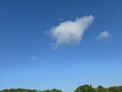 -胜华驾校·小猫学车(银都店)