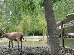 -溱湖国家湿地公园