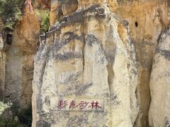 -彩色沙林风景区