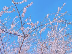 -颐和园