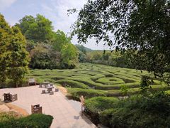 -大屏嶂森林公园