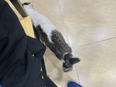 -玉椰林甜品店(创始店)