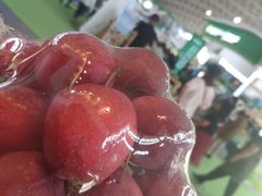 -沈阳国际会展中心管理有限公司