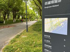 -贡湖湾湿地公园
