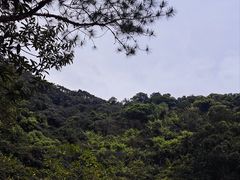 -广州白江湖森林公园