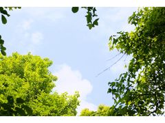 -杭州植物园