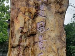 -汉中石门栈道景区