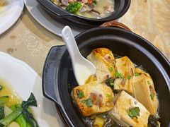酸菜豆腐煲-瑞记湛江鸡饭店·粤西第一鸡(粤垦店)