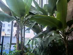 -老街坊美食汇(玉兰大街店)