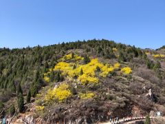 -府君山公园