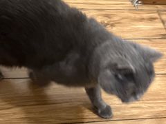 -春笙食堂.丼饭拉面寿司(GOGO新天地店)