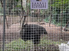 -厦门悦华酒店