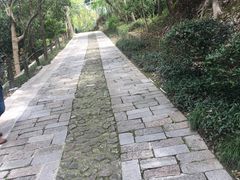 -上海佘山国家森林公园西佘山园