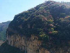 -黄花溪