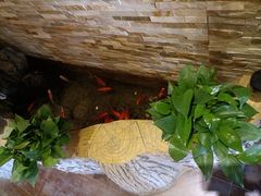 -鸥迪足道(老虎滩店)