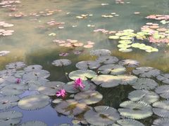 -深圳龙潭公园