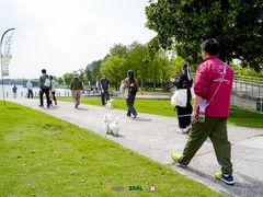 -上海月湖雕塑公园