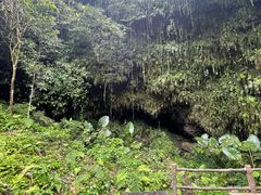 -海口火山口国家地质公园