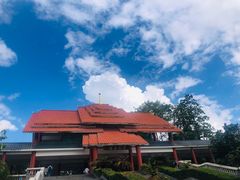 -大屏嶂森林公园