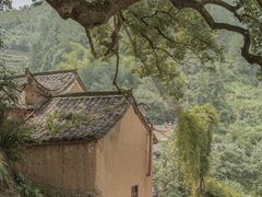 -杨家堂村