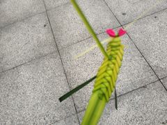 -南山植物园