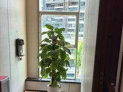 -通透堂中医·精准推拿(旗舰店)