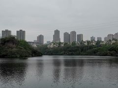 -重庆彩云湖湿地公园