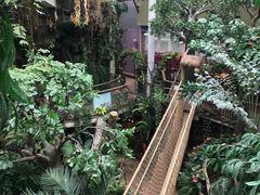 -正佳雨林生态植物园