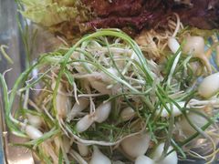 -KAOKAO烤烤·丹东海鲜烧烤(望京店)